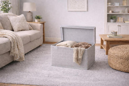 Foldable Storage Box with Lid | Large Capacity Clothes &amp; Closet Organizer