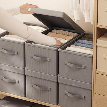 Foldable Storage Box with Lid | Large Capacity Clothes &amp; Closet Organizer